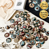Collection of fairy themed divination coins on a wooden surface with promotional text for a free course and casting mat.