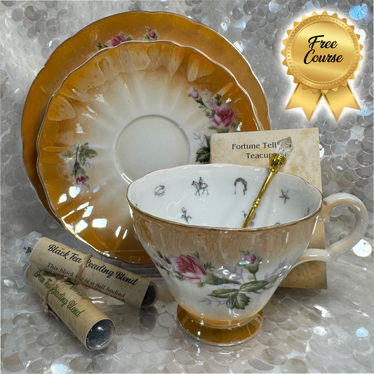 Vintage Roses tea cup and saucer set. Teacup trio set. FREE online course learn to read fortune teller tea cups.