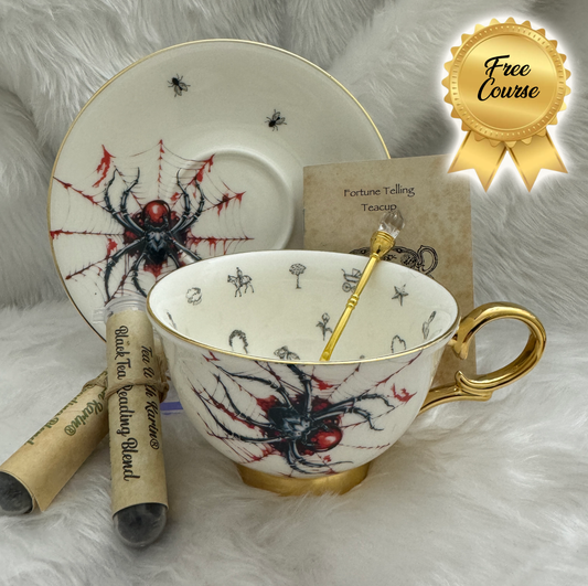 Halloween Spider tea leaf reading teacup set. Goth gift.