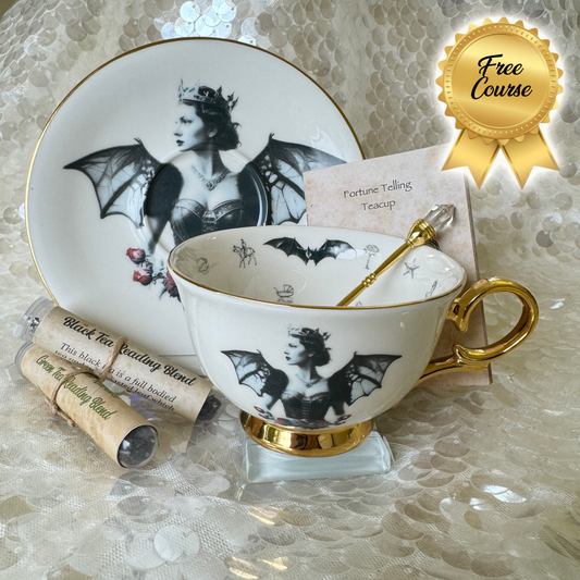 Bat Lady 1 Teacup and saucer set. Learn tea leaf reading the easy way. FREE online course. Halloween Teacup.