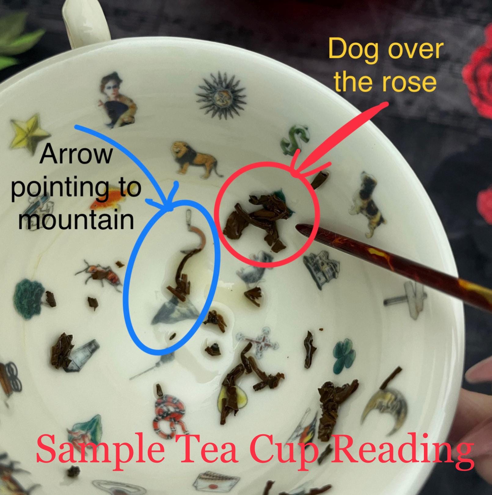 Sample Reading in teacup