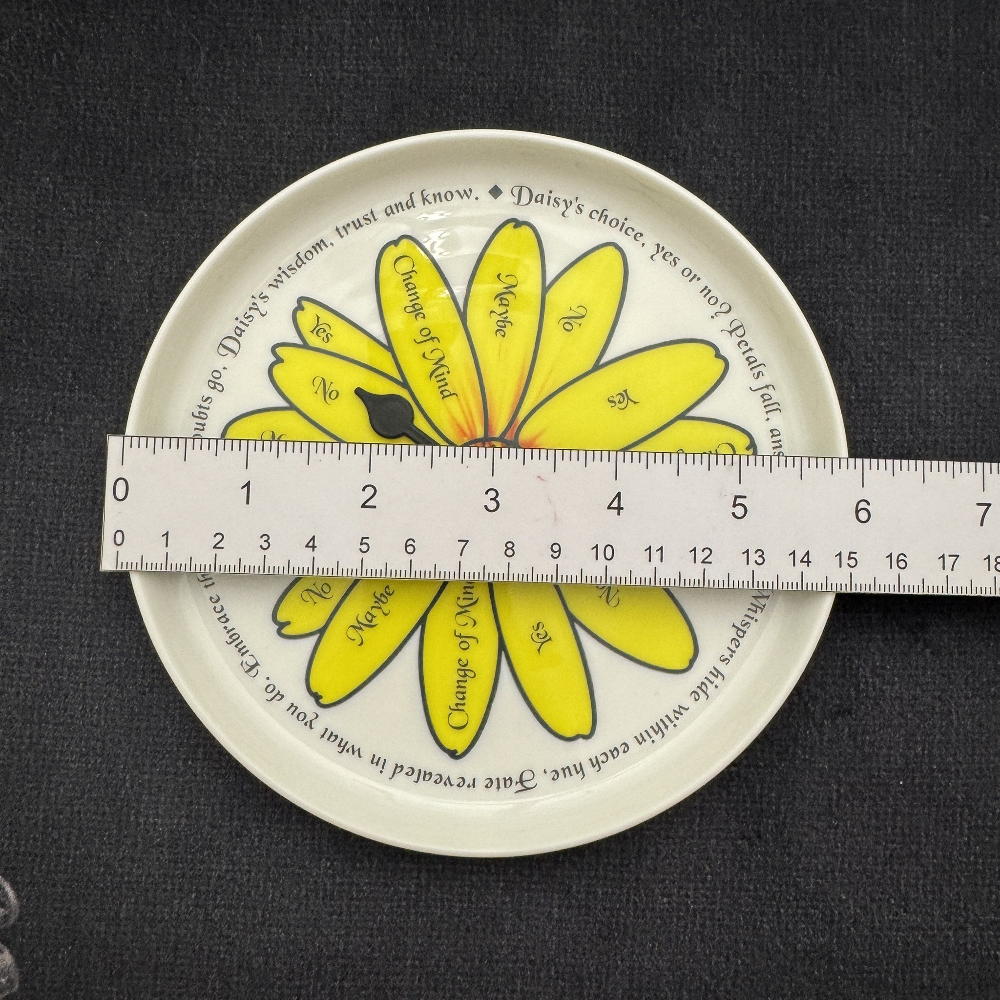Pick a Daisy spinner plate measured with a ruler showing its 6 inch (15cm) diameter