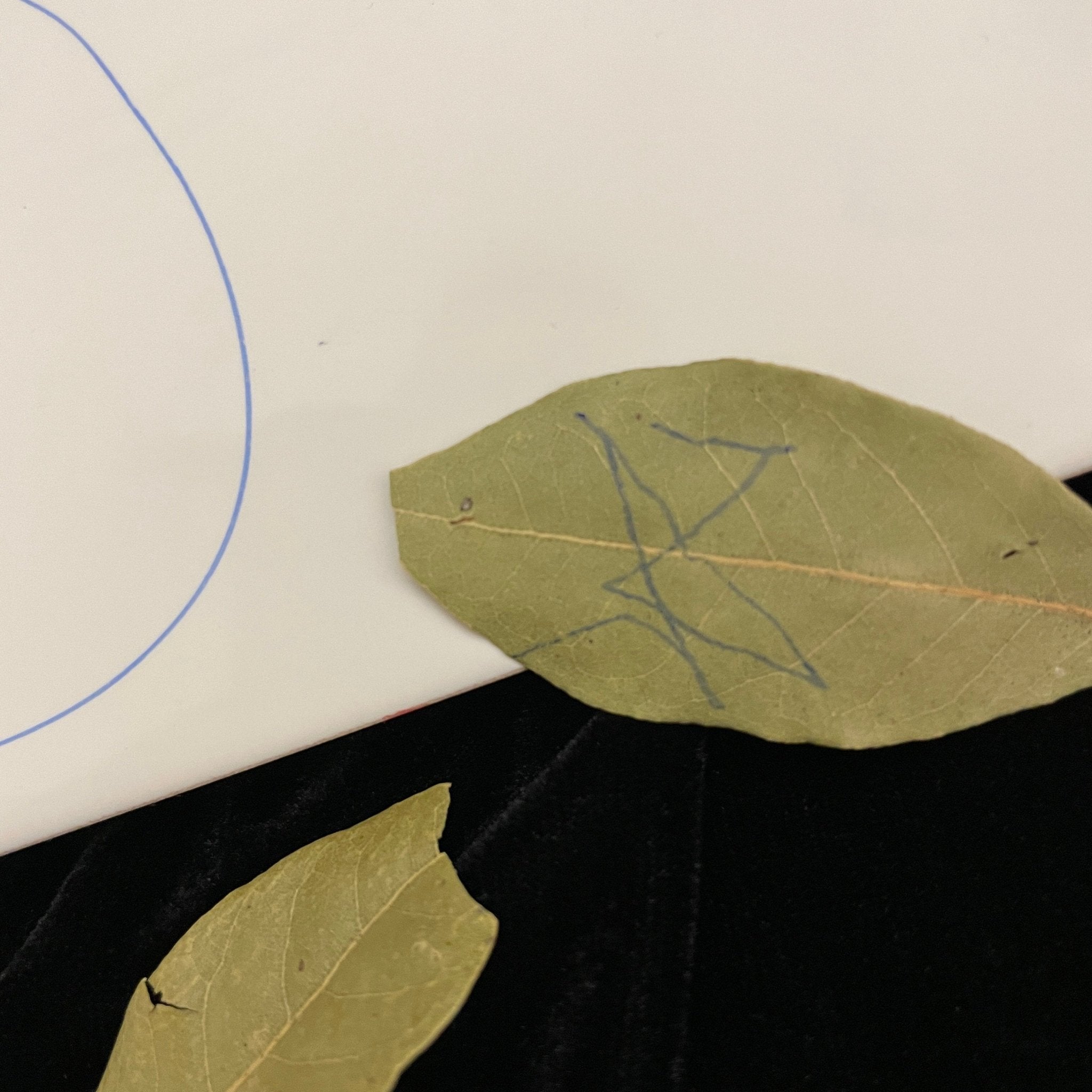 Sigil Maker Witchy Decor Gift Witchcraft Manifesting Binds Oddities Gothic Occult Divination Tools