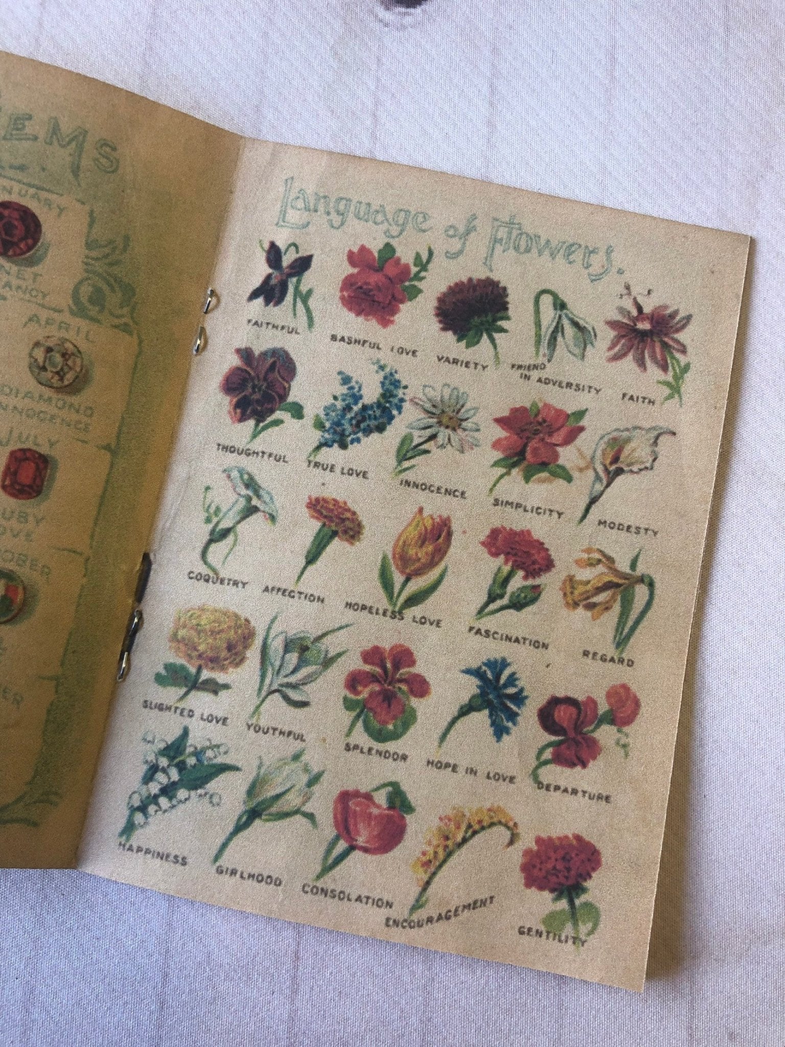 Vintage Fortune Telling Booklet back cover - antique tea leaf reading guide